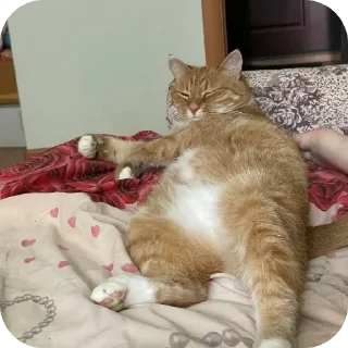 😪 emoji Мем года Telegram sticker 9 of 25