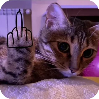 😡 emoji Мем года Telegram sticker 22 of 25