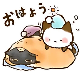 🫂 emoji ૮៸៸›  ‌‹៸៸ྀིა 🤍 охаги и чоко ୨୧ @hugswcots Telegram sticker 13 of 40