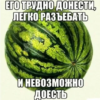 🍉 emoji ОХУЕТЬ, АРБУЗ! Telegram sticker 5 of 41
