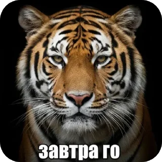 👄 emoji БОЛЬШЕ ⇨ @CLOOBHUB МЕМНЫЕ СТИКЕРЫ ТЕТРАДЬ СМЕРТИ Telegram sticker 18 of 62