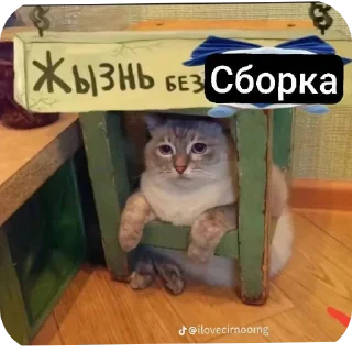 🐱 emoji Сборка @stickrubot Telegram sticker 23 of 120