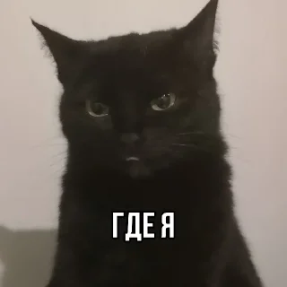 😬 emoji Жизнь Telegram sticker 19 of 61