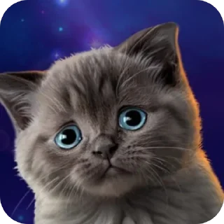 🫥 emoji анастасия черепашка хомяк228 Telegram sticker 18 of 19