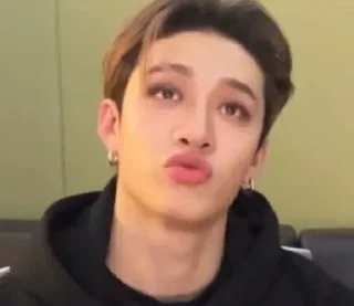 😚 emoji Чани Telegram sticker 19 of 102