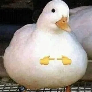 👉 emoji Си-Джей Telegram sticker 20 of 35