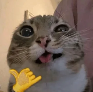 🤙 emoji mm' Telegram sticker 18 of 59