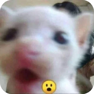 😮 emoji Мэн Telegram sticker 2 of 34