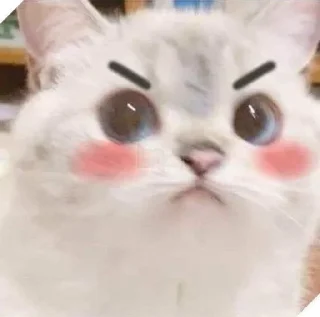 🌟 emoji Белый пушистик Telegram sticker 18 of 87