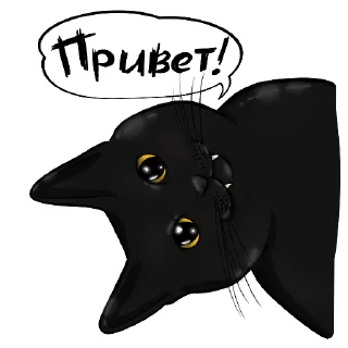 ✋ emoji Alister the Black Cat @NyushaRi Telegram sticker 8 of 44
