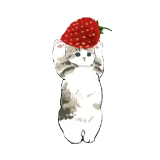Sticker from cat food @sanw1o