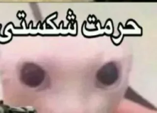😭 emoji لهو و لعبِ حاج باربد Telegram sticker 8 of 52