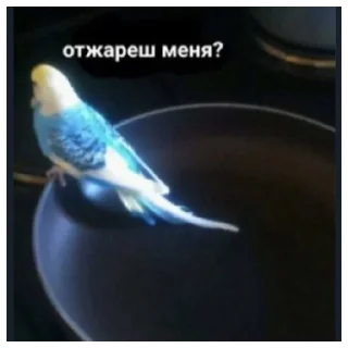 😄 emoji Я тебя люблю by: Crip1ii Telegram sticker 8 of 61