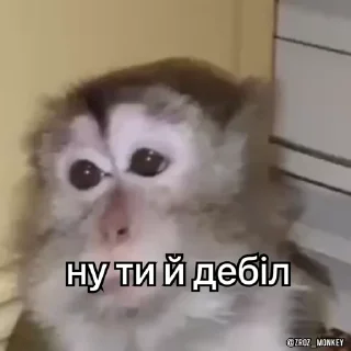 🙄 emoji мавпи @gif_ochky Telegram sticker 13 of 50