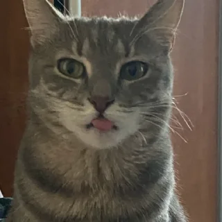 😝 emoji маруся рулит Telegram sticker 6 of 46