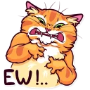 😖 emoji Meme Cats Telegram sticker 20 of 40