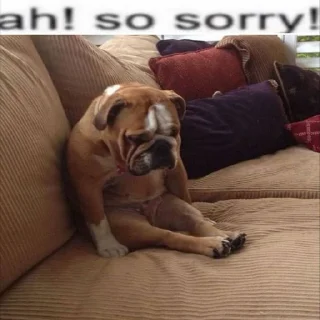Sticker from dogs @monst14
