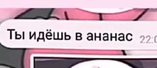Sticker from Стикеры кота