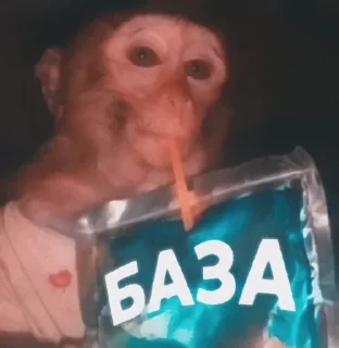 Sticker from Волинський андеграунд @ProbkaMeme