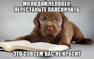 🌟 emoji бутырка @XBOX360_TRPLK1LL Telegram sticker 7 of 120