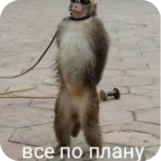 🐶 emoji Пупсик Telegram sticker 13 of 31
