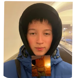 🧥 emoji Шарага Telegram sticker 14 of 120