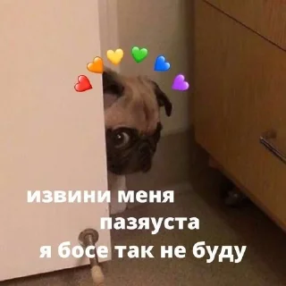👉 emoji Котики Telegram sticker 19 of 106