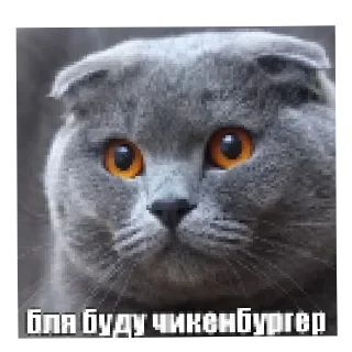 🍔 emoji моти @vkycnaya_moti Telegram sticker 18 of 75