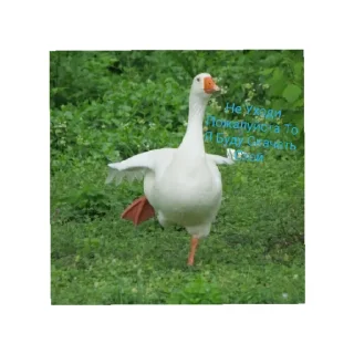 😄 emoji Гуси топчик Telegram sticker 10 of 15