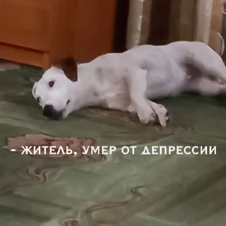 ☠ emoji Шерри топ Telegram sticker 10 of 33
