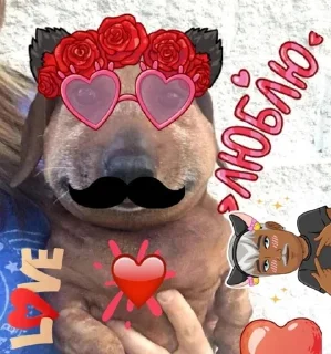 🙂 emoji паша такса Telegram sticker 11 of 51