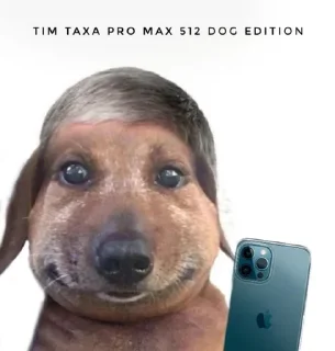 🙂 emoji паша такса Telegram sticker 12 of 51