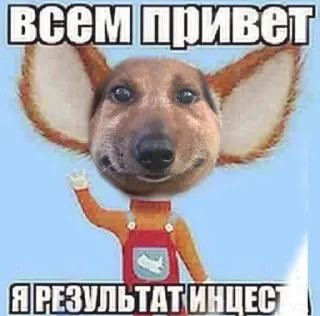 🙂 emoji паша такса Telegram sticker 19 of 51