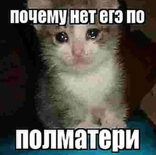 😭 emoji полмамки пон Telegram sticker 18 of 25