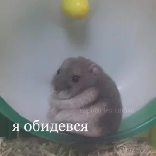 😔 emoji трахни меня Telegram sticker 22 of 119