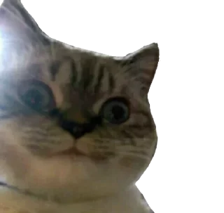 🙂 emoji Moy vtoroy Telegram sticker 7 of 114