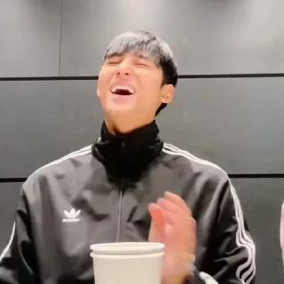 🎭 emoji Mingyu Telegram sticker 24 of 47
