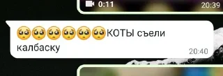 🐱 emoji Вацап 2019 Telegram sticker 10 of 23
