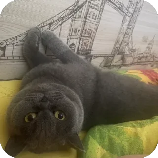 🫥 emoji пак для богинесс Telegram sticker 18 of 115