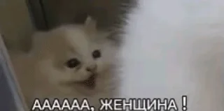 😰 emoji Тупездень Telegram sticker 22 of 120