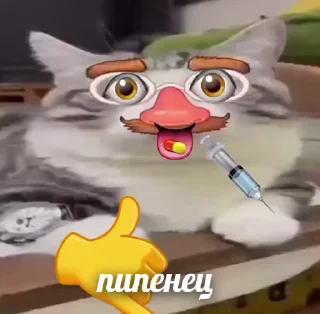 ☠️ emoji Комарки pt3 @not_a_dude Telegram sticker 8 of 28