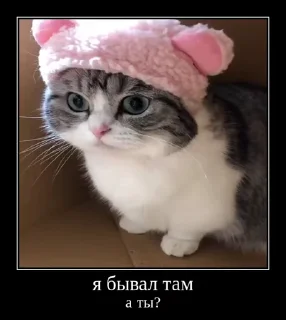 🥶 emoji Комарки @not_a_dude Telegram sticker 8 of 69