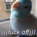 🖕 emoji Random bird stuff Telegram sticker 8 of 120