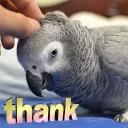 ☺️ emoji Random bird stuff Telegram sticker 15 of 120