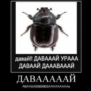 Sticker from Хайп