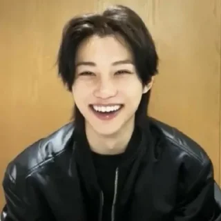 😺 emoji Феликс vlive Telegram sticker 21 of 30