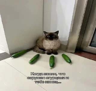 🌟 emoji я щас в штанишки Telegram sticker 3 of 17