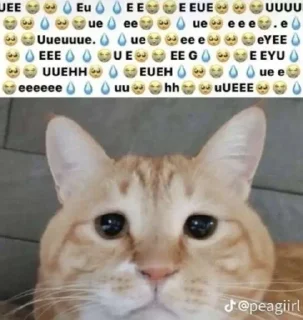 😭 emoji алина френдзонфан Telegram sticker 10 of 108