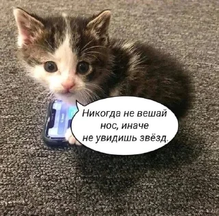 ✨ emoji алина френдзонфан Telegram sticker 12 of 108