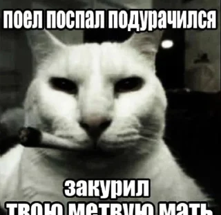 🌟 emoji Сила аутизма @ghostbehindyourback Telegram sticker 18 of 94